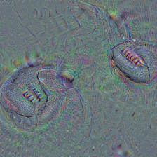 n03657121